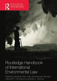bokomslag Routledge Handbook of International Environmental Law