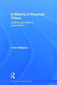 bokomslag A History of Financial Crises