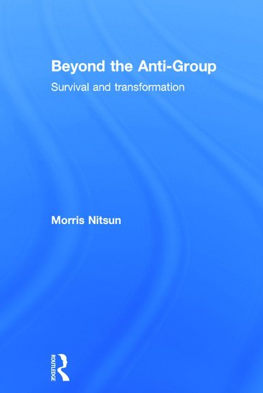 bokomslag Beyond the Anti-Group