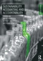 Jan Bebbington, Jeffrey Unerman - Sustainability Accounting and Accountability, Häftad