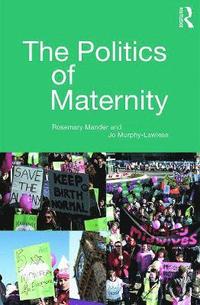bokomslag The Politics of Maternity