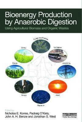 bokomslag Bioenergy Production by Anaerobic Digestion