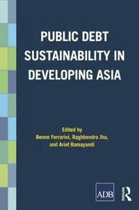 bokomslag Public Debt Sustainability in Developing Asia