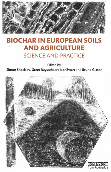 bokomslag Biochar in European Soils and Agriculture