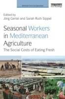 bokomslag Seasonal Workers in Mediterranean Agriculture