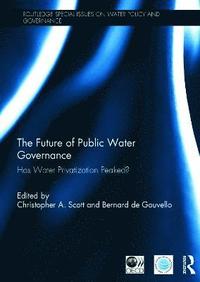 bokomslag The Future of Public Water Governance