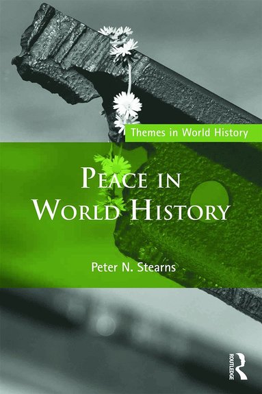 bokomslag Peace in World History