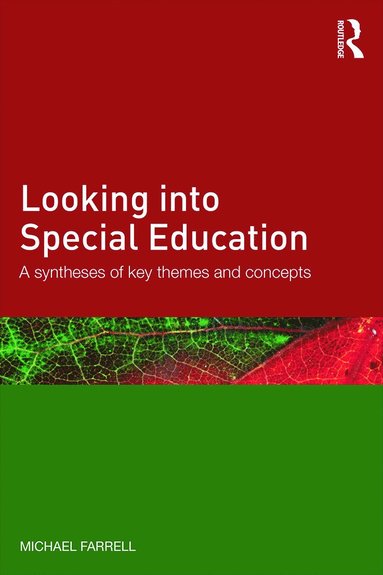 bokomslag Looking into Special Education