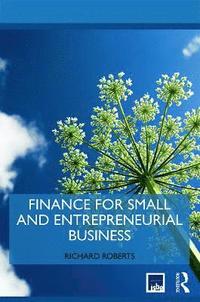 bokomslag Finance for Small and Entrepreneurial Business