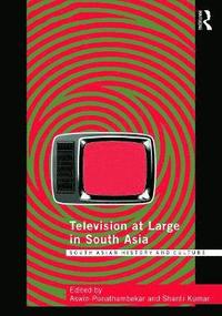 bokomslag Television at Large in South Asia