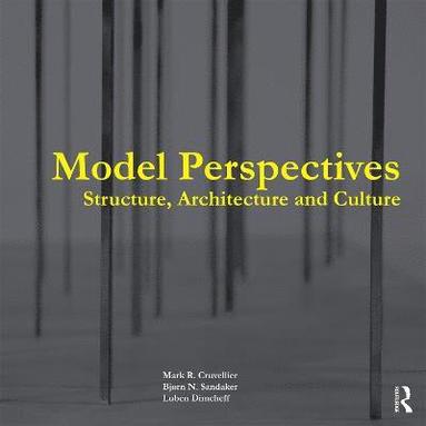 bokomslag Model Perspectives: Structure, Architecture and Culture