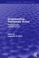bokomslag Understanding Therapeutic Action