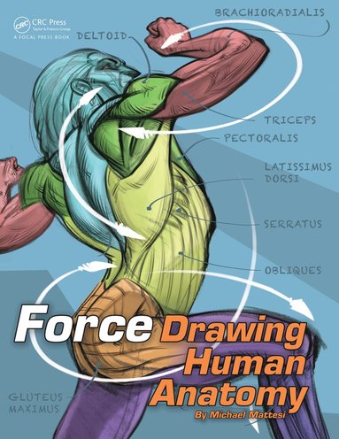 bokomslag FORCE: Drawing Human Anatomy