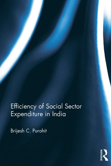 bokomslag Efficiency of Social Sector Expenditure in India