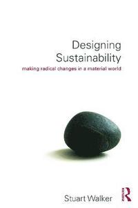 bokomslag Designing Sustainability