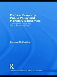 bokomslag Political Economy, Public Policy and Monetary Economics