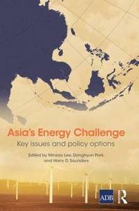 bokomslag Asia's Energy Challenge
