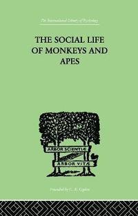 bokomslag The Social Life Of Monkeys And Apes