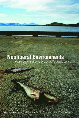bokomslag Neoliberal Environments