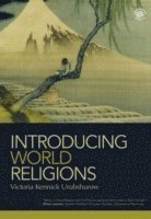 bokomslag Introducing World Religions