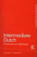 Intermediate Dutch: A Grammar and Workbook 1