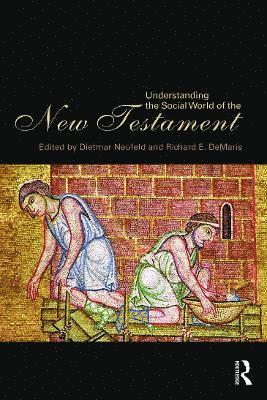 bokomslag Understanding the Social World of the New Testament