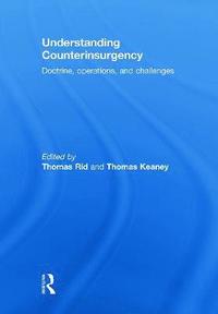 bokomslag Understanding Counterinsurgency