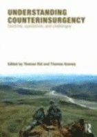 Understanding Counterinsurgency 1