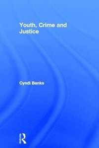 bokomslag Youth, Crime and Justice