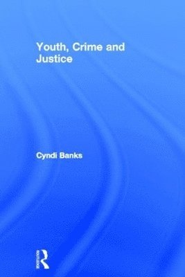 Cyndi Banks, USA) Banks, Cyndi (Northern Arizona University - Youth, Crime and Justice, Inbunden