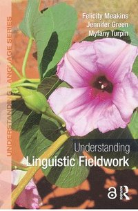 bokomslag Understanding Linguistic Fieldwork