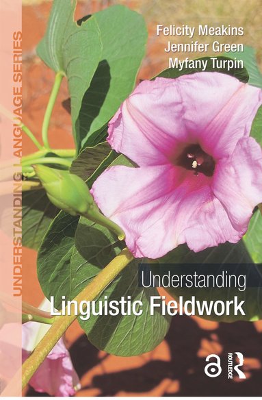 bokomslag Understanding Linguistic Fieldwork