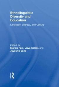 bokomslag Ethnolinguistic Diversity and Education