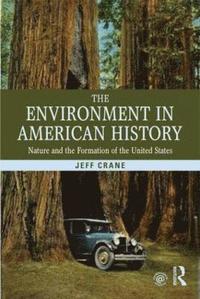 bokomslag The Environment in American History