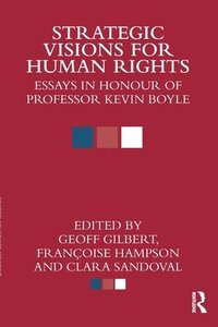 bokomslag Strategic Visions for Human Rights