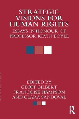 bokomslag Strategic Visions for Human Rights