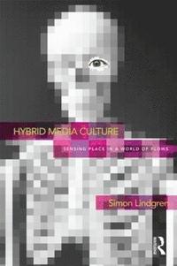 bokomslag Hybrid Media Culture