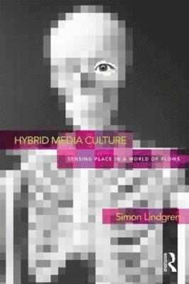 Hybrid Media Culture 1