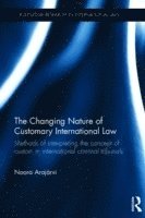 bokomslag The Changing Nature of Customary International Law