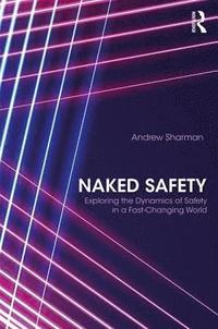bokomslag Naked Safety