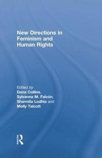 bokomslag New Directions in Feminism and Human Rights