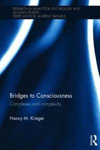 bokomslag Bridges to Consciousness