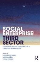 bokomslag Social Enterprise and the Third Sector