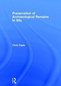 bokomslag Preservation of Archaeological Remains In Situ