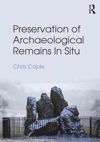 bokomslag Preservation of Archaeological Remains In Situ