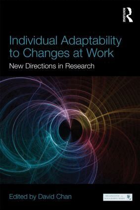 David Chan - Individual Adaptability to Changes at Work, Häftad
