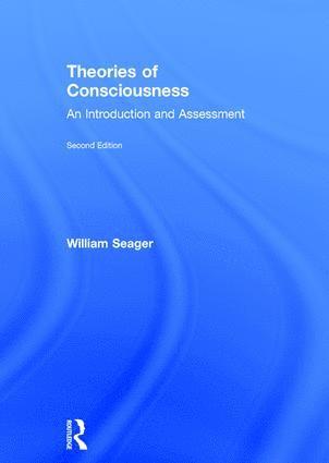 bokomslag Theories of Consciousness