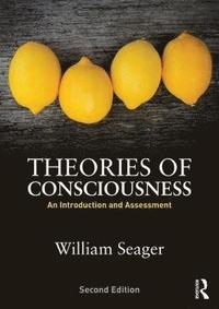 bokomslag Theories of Consciousness
