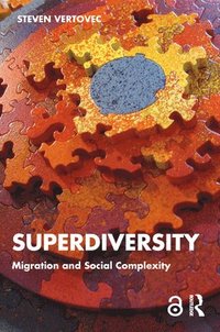 bokomslag Superdiversity