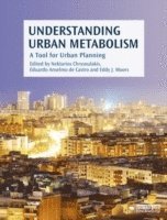 bokomslag Understanding Urban Metabolism